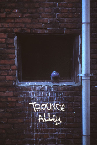 The Original Trounce Alley